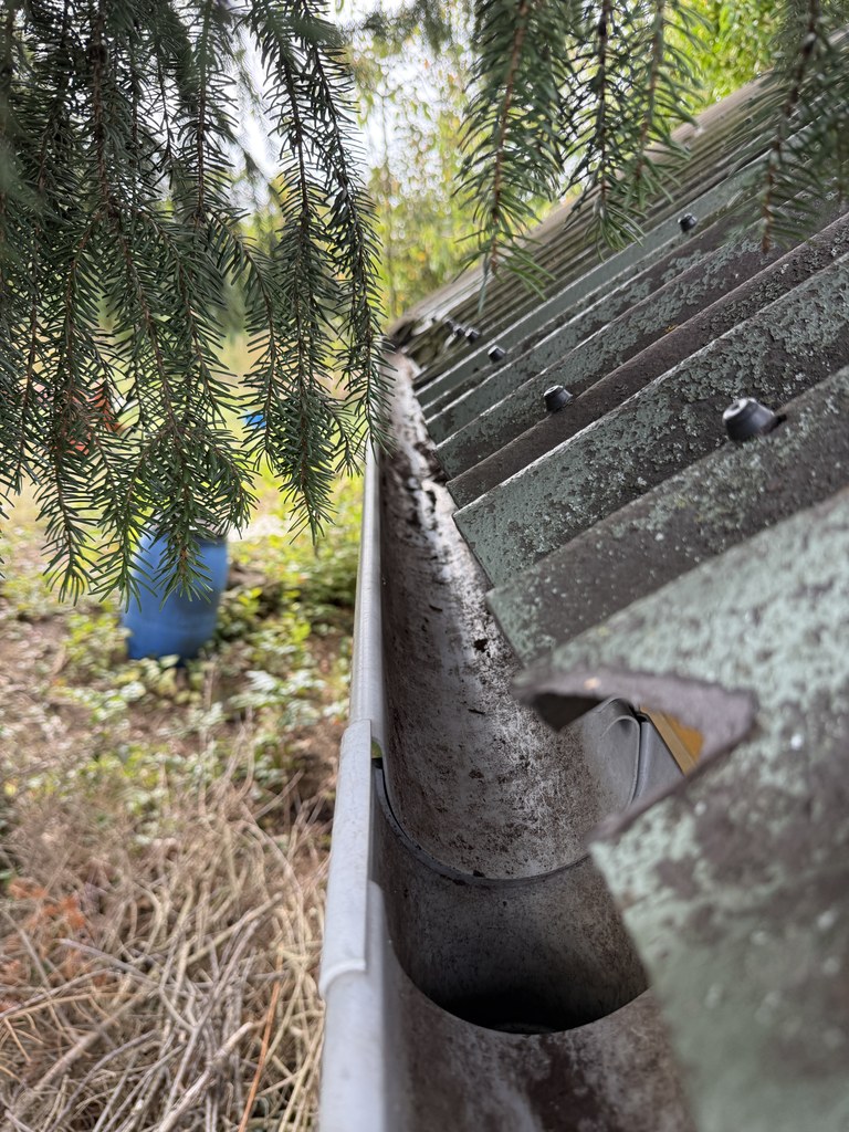 Dieselbe Dachrinne nach der Reinigung, das Blech frei bis zum Einlauf ins Fallrohr