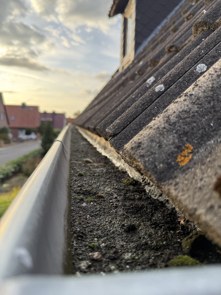 Dachrinne vor der Reinigung, über die ganze Länge mit Erde und Moos gefüllt