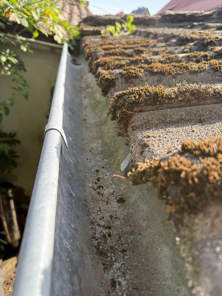 Dieselbe Rinne nach der Reinigung, Blech und Dachkante wieder frei