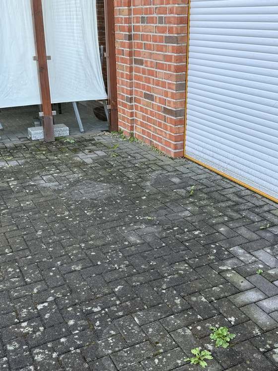 Einfahrt vor dem Garagentor vor der Reinigung, das Pflaster dunkel und Unkraut in den Fugen