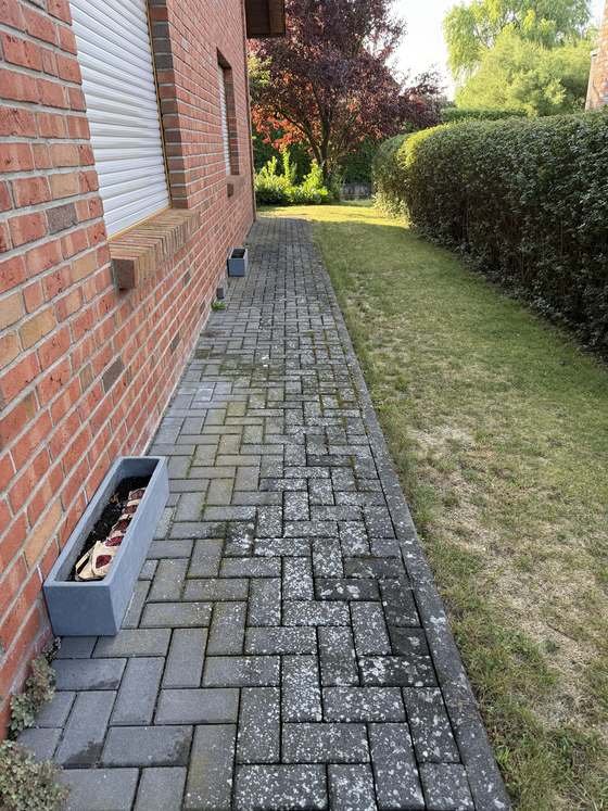 Schmaler Gehweg an der Klinkerwand vor der Reinigung, das Pflaster grau und fleckig, Bewuchs in den Fugen