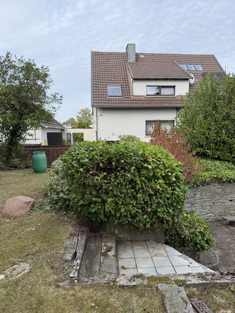 Dieselbe Hecke nach dem Schnitt, mit gerader Kante entlang der Hauswand