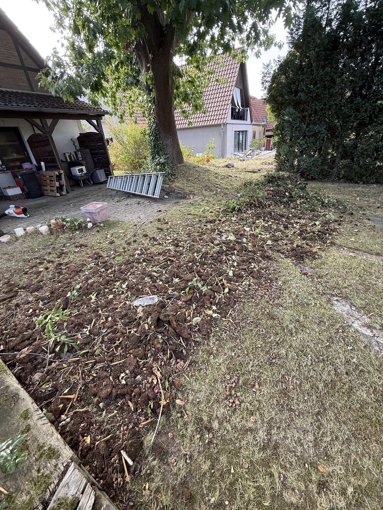 Abgeräumte Fläche im Garten, Laub und Grünschnitt sind weg, dahinter Rasen und Carport