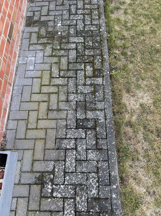 Pflaster an der Hauswand vor der Reinigung, Flechten und Moos überziehen Steine und Fugen