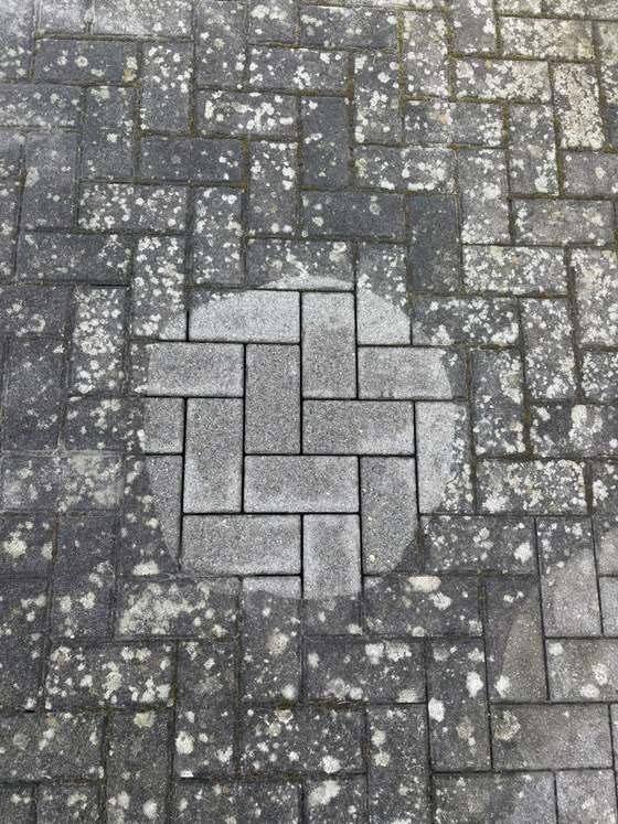 Kostenlose Probefläche: ein gereinigtes Quadrat hebt sich hell von der flechtenbewachsenen Fläche ab