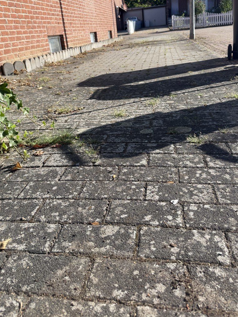 Einfahrt an der Hauswand vor der Reinigung, Moos und Unkraut zwischen den Steinen