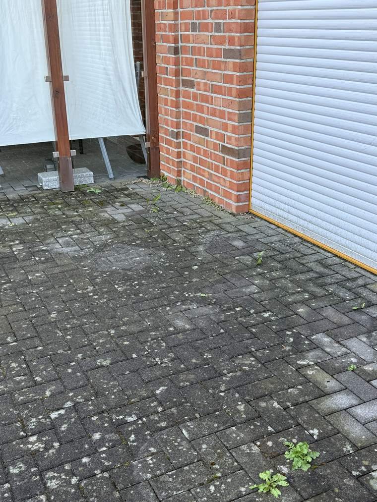 Dieselbe Einfahrt vor der Reinigung, dunkel verfärbt und mit Grünbelag
