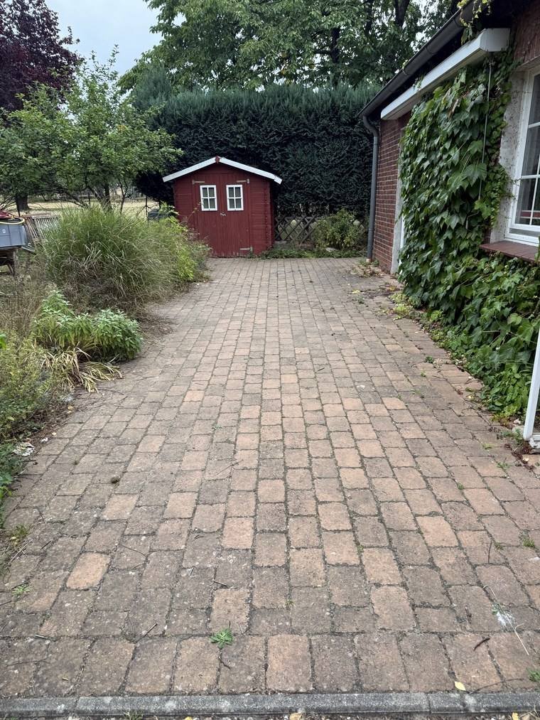 Weg zum Gartenhaus vor der Reinigung, das rote Klinkerpflaster grau überzogen und stumpf