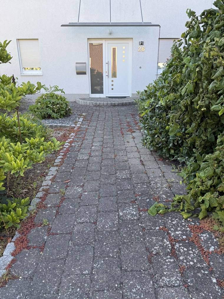Weg zur Haustür vor der Reinigung, das Pflaster grau mit Flechten und Moos in den Fugen