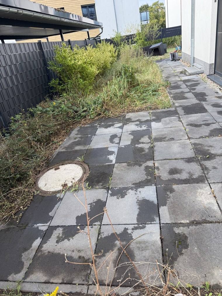 Plattenweg am Beet vor der Reinigung, helle Flecken auf den Platten und Bewuchs bis an die Kante