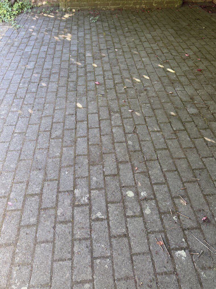 Terrasse vor der Reinigung, das Pflaster verfärbt und mit Laubresten in den Fugen