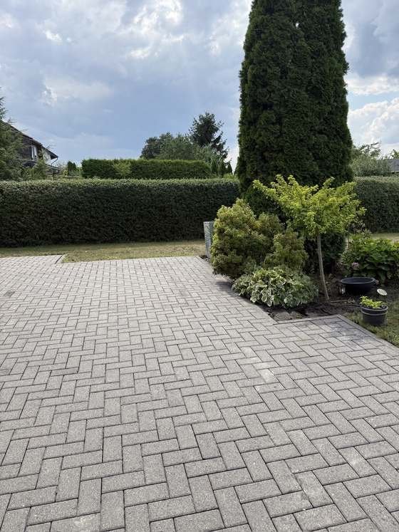 Gereinigte Pflasterfläche am Garten, die Steine wieder gleichmäßig hell bis an die Beetkante