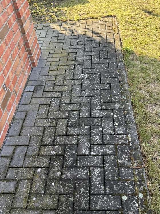 Pflasterweg an einer Klinkerwand vor der Reinigung, flächig vergrünt und mit Moos in den Fugen